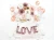 big_SB14M-019R-50_02_S.webp