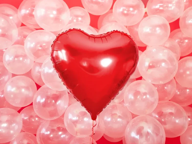 big_FB23M-007_04_S.webp