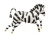 big_FB121_01_S.webp