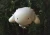 big_FB199_02_S.webp
