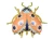 big_FB154_01_S.webp