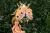 big_FB154_03_S.webp