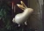 big_FB189_02_S.webp