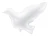 big_FB18-008_01_S.webp
