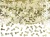 big_KONS17-019ME_01_S.webp