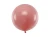 big_OLBOM-081AN_01_S.webp