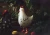 big_FB187_02_S.webp