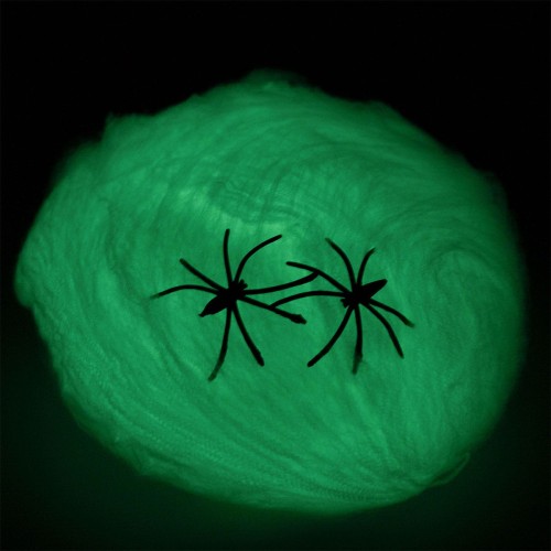 swiecaca-w-ciemnosci-pajeczyna-z-pajakiem (1).jpg