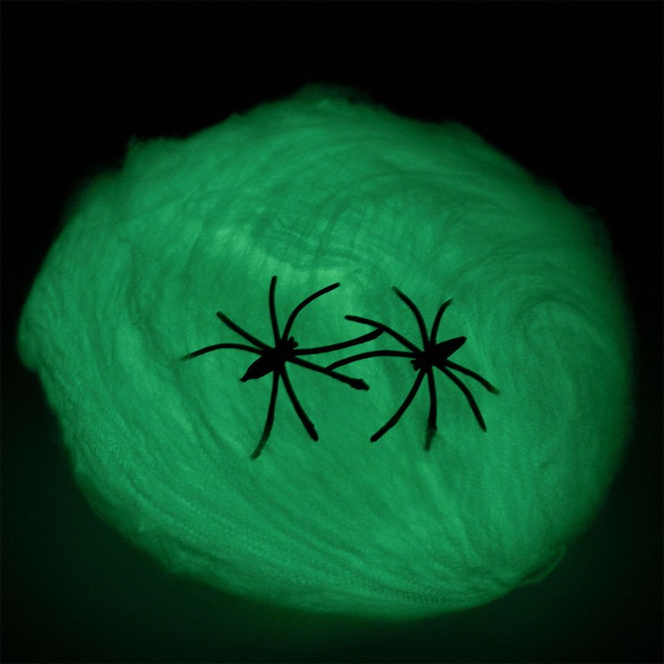 swiecaca-w-ciemnosci-pajeczyna-z-pajakiem (1).jpg