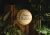 big_FB393_02_S.webp